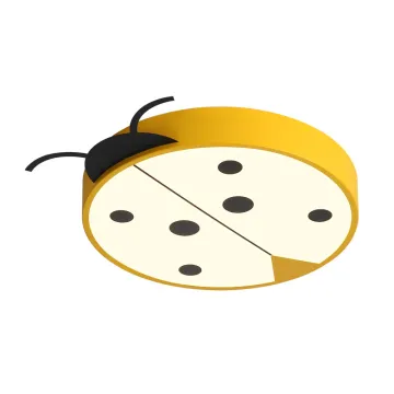 INSHINE Led Bright Ceiling Light