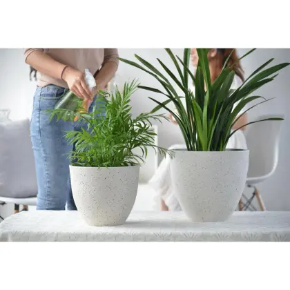 Greenship Indoor and Outdoor Decorative Flower Pots and Planters for Plants