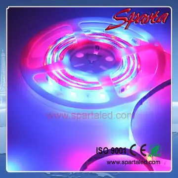 30leds/m IC ws2801 led digital strip