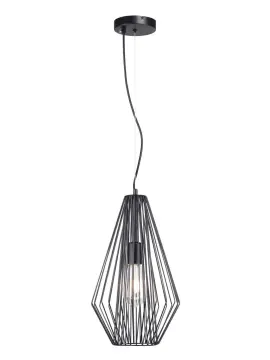 Iron Ceiling Light shade  iron cage lamp