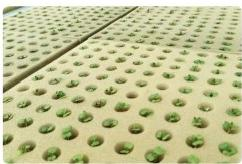 زارع الخضروات من نوع الخزانة العمودية YD08GBC-B03-TK