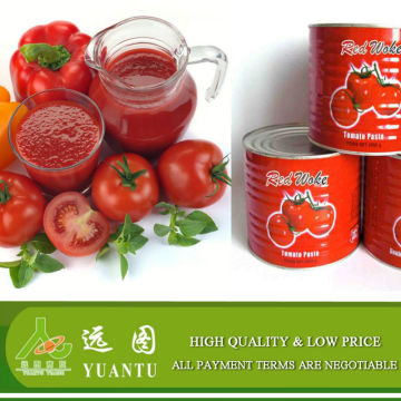 70G-4500G China Hot Sell Canned tomato paste