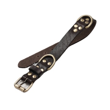 Dogs large Climbing high quality new dog collar