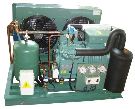 Bitzer air-cooled compressor for cold storage