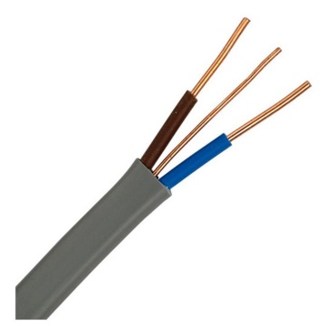 Câble plat double et terre BS 6004