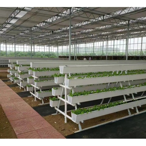 Sera için NFT Hydroponic Büyüyen Oluk