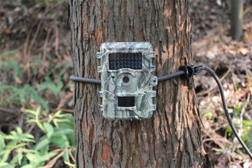 Telecamera da caccia per la sorveglianza di sentieri all&#39;aperto