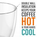 Large SIze Double Wall Glass Insulated Coffee Mug