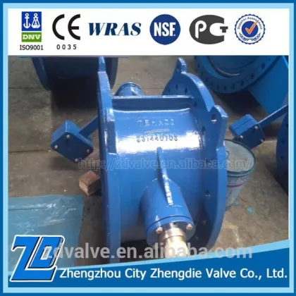 Durable and Reliable douctile iron check valve