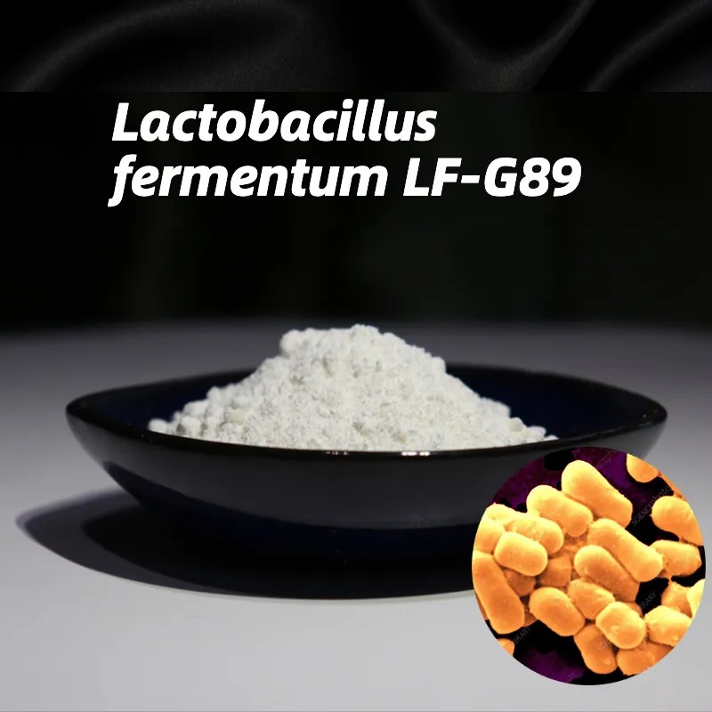 Food Grade Bulk Probiotics Lactobacillus Fermentum Powder