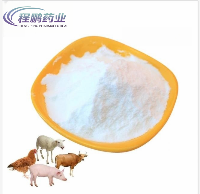 Thiamphenicol powder for animal-23