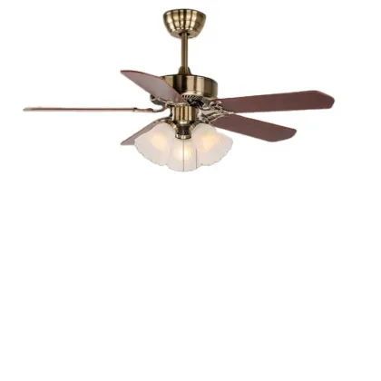 220V Lighted Ceiling Fan with Fancy Zippers - Hot Selling New Product
