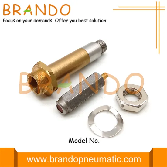 10mm OD M12 Thread Brass Plunger Iron Core