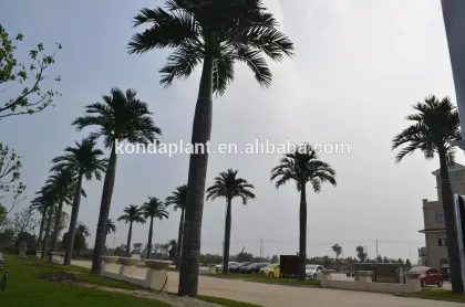Artificial coconut trees fake coconut tree,artificial big tree fiber coconut tree
