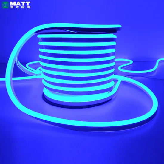 Waterproof LED Neon Flex Outdoor Decoration Light