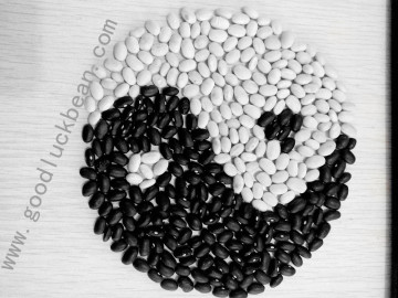 High Quality White/Black pulse beans