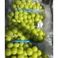 Fresh Grapes Shine Muscat Sweet and Juicy