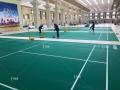 Lantai Bulu Tangkuk PVC Indoor MAT PVC Vinyl Badminton Floor