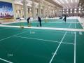 Εσωτερική PVC Badminton Court Mat για το πάτωμα