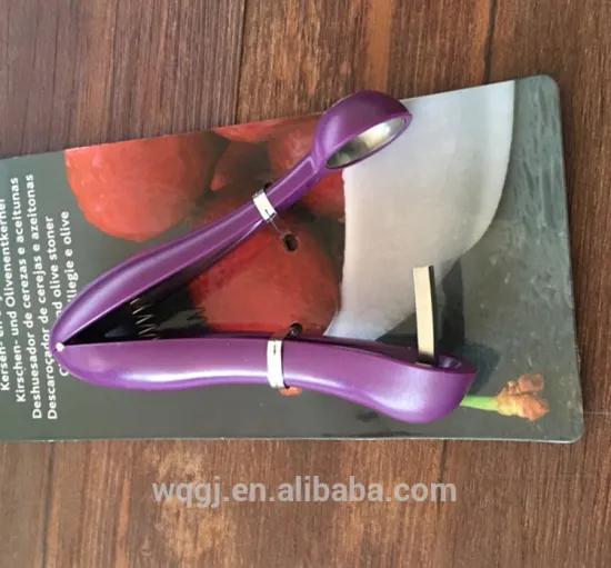 Good Sales Professional plastic Cherry Corer pitter for wholesales Kitchen Tools Chewing Pitter