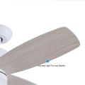 Integrated with led light plywood blade ceiling fan