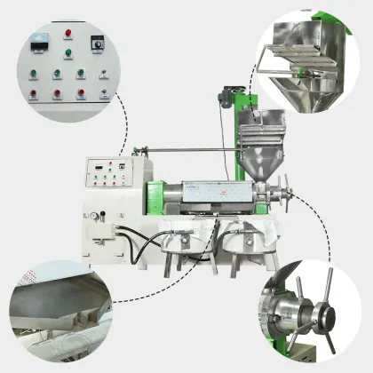 Soya Moringa Canola Oil Press Machine: Cold Pressed Oil Expeller with Vacuum Filter