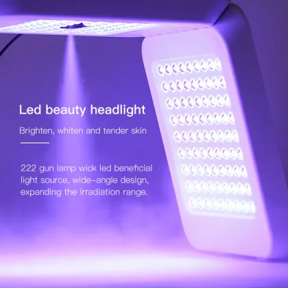 LED Face Red Light Therapy Lamp