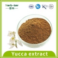 Améliorer l&#39;action intestinale Extrait de yucca 30% de saponines yucca