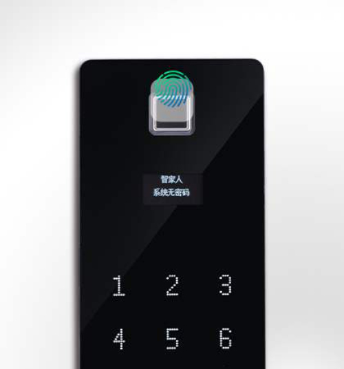 Wifi Smart Lock Front Door For Home