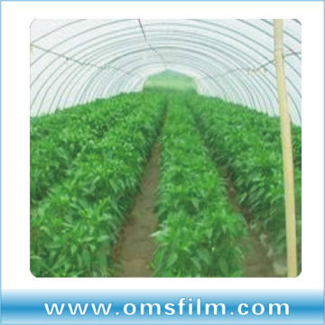 LDPE Greenhouse Tunnel Film With UV Protection