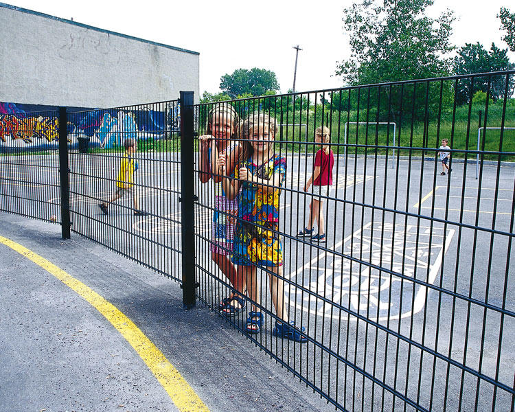 double wire fence (100)