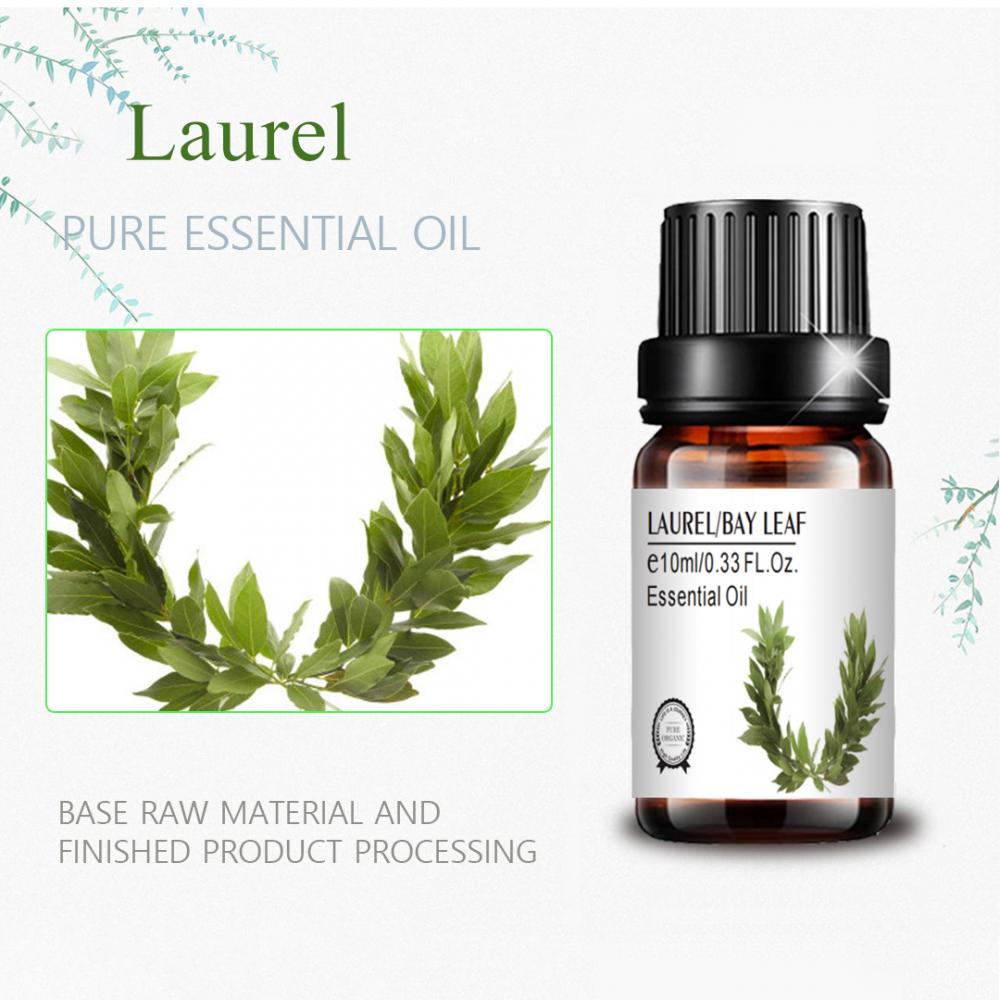 10 ml de etiqueta privada a granel al por mayor Laurel Oil Bay Leaf Oil