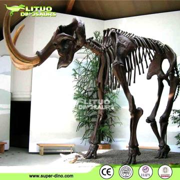 Prehistoric Mammoth Animal Skeleton Model for Sale