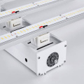 Luz de cultivo LED de 600 6x6 pies para la venta