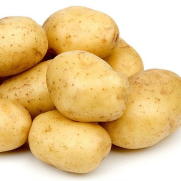 2020 Top Quality Potato