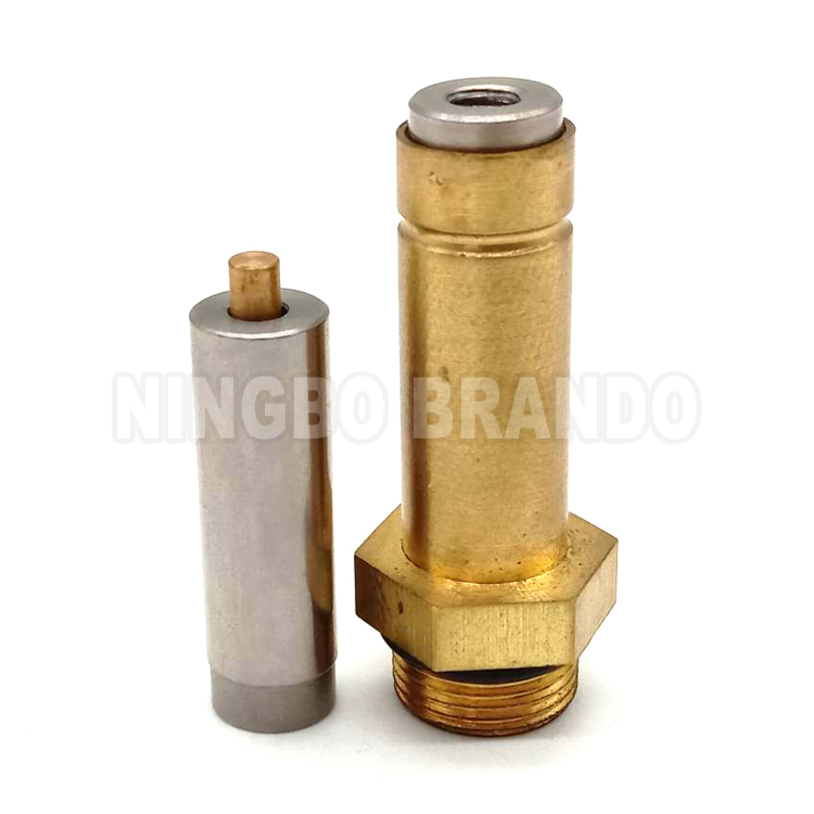 LPG CNG Solenoid Armature