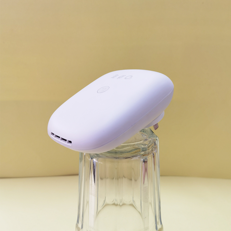 Plug-in Portable Ion and Ozone Air Purifier