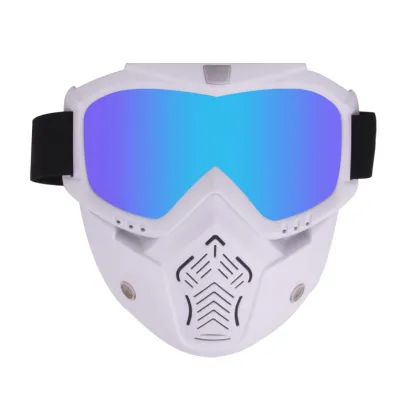 Windproof Skull Motorcycle Mask with Detachable Modular Goggles