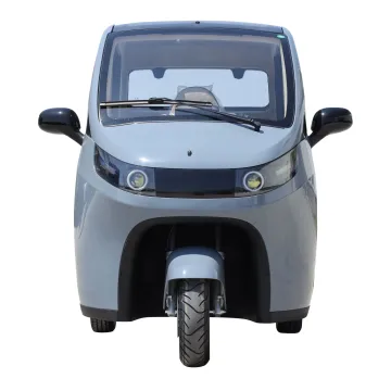 EV Electric 3 Tekerlekli Üç Tekerlekli Bisiklet Aracı Kapalı EEC