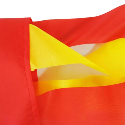 Low Price New Design Wind sock Carp Flags