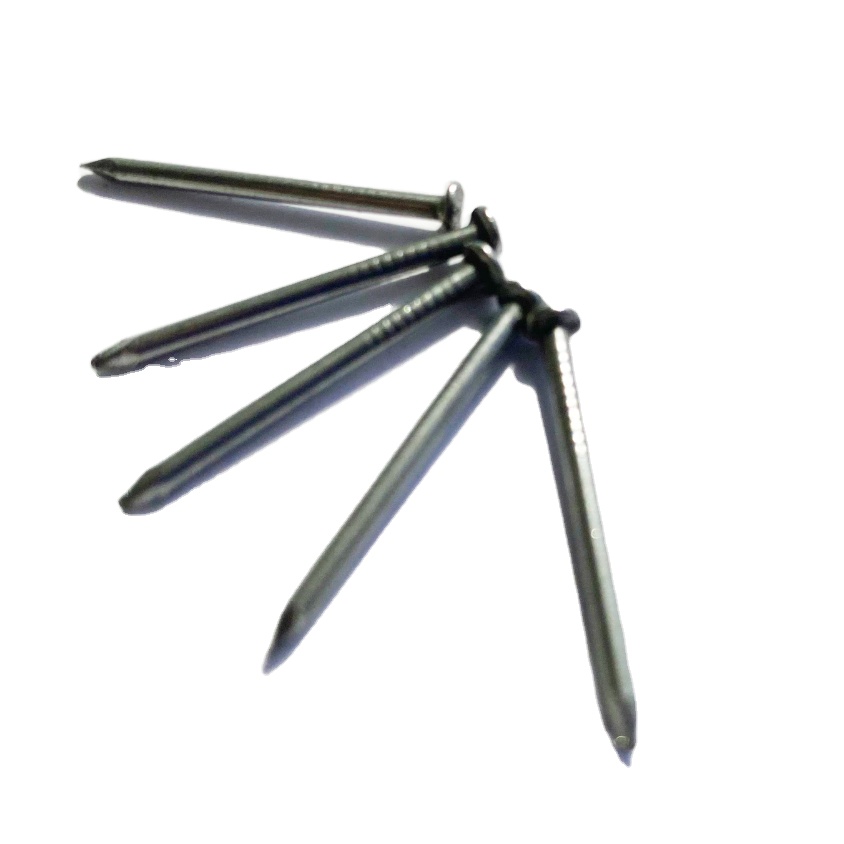 Iron Steel Smooth Round Head Common Nails en fil commun