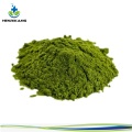 Factory price kale Extract active ingredients powder