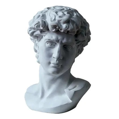 Famous figure statue fiberglass David bust