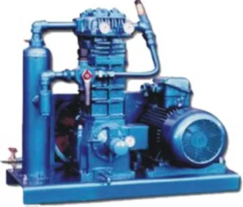 Liquefied Petroleum Gas Compressor