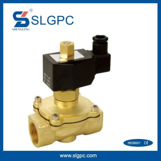 24V water solenoid valve stainless steel or brass body SLGPC-2W160-15NO