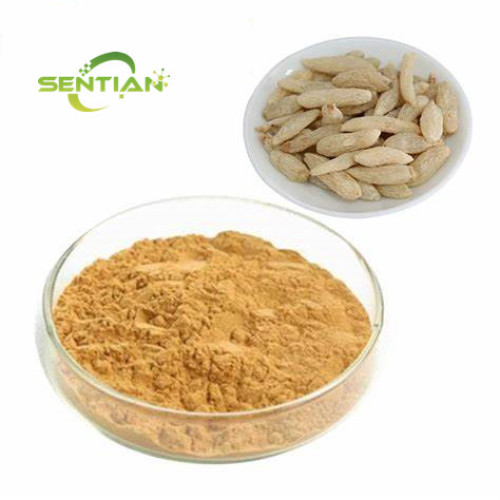 Free Sample ophiopogon japonicus root extract