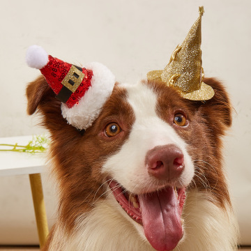 Mofesipi Pet Supplies: Χονδρική και λιανική σκυλιά και γάτα ρούχα &amp; αξεσουάρ