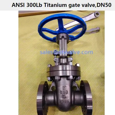 ANSI 300Lb Titanium gate valve,DN50