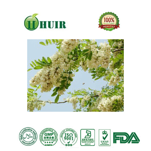High Quality Rutin powder plant extracts / Manufacturers sell
