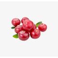 Alpha Arbutin Bearberry Extract Powder 84380-01-8